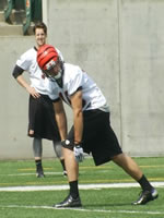 WR Alex Neutz